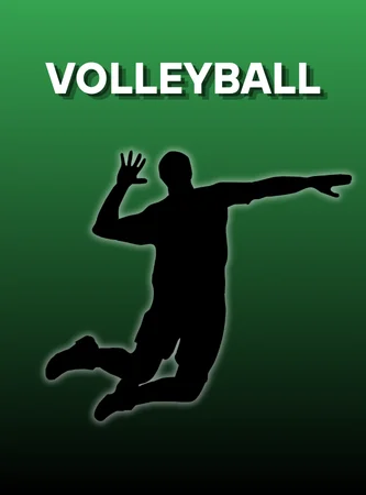 bcgame volleyball